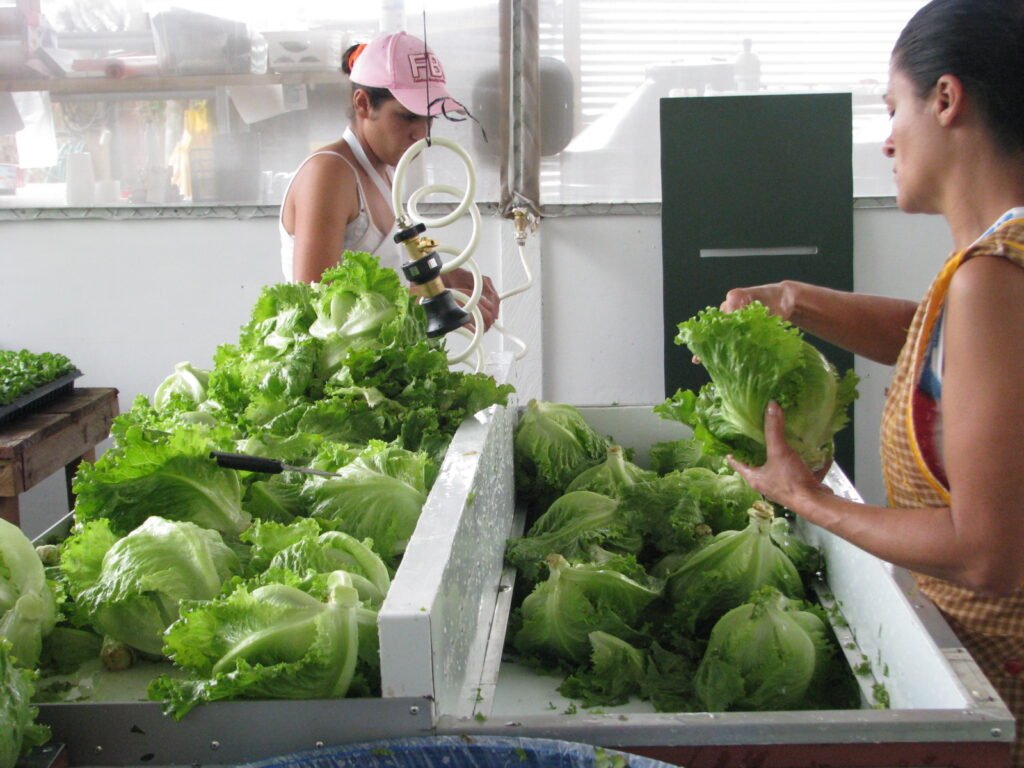 Alerta de infección del CDC de Alaska