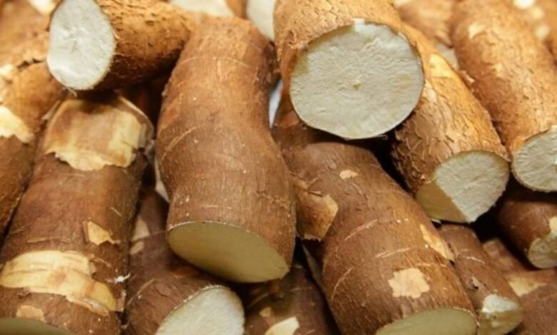 Ébola de la Yuca.