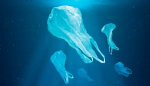 Bolsas Solubles en Agua.