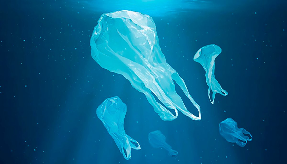 Bolsas Solubles en Agua.