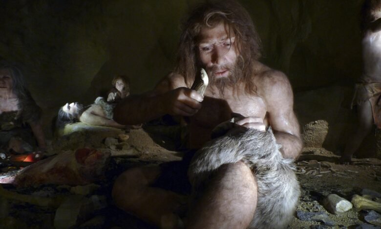 Mini cerebro Neandertal.