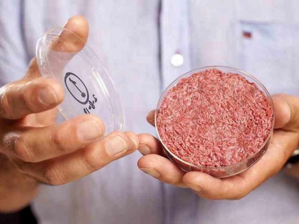 Carne Sintática o cultivada.