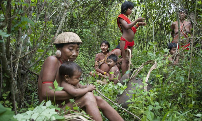 Desaparecen del Amazonas.
