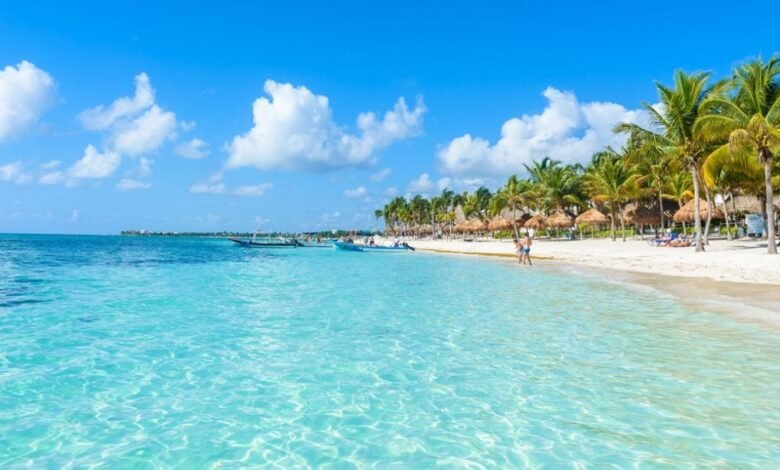 Isla del Caribe.