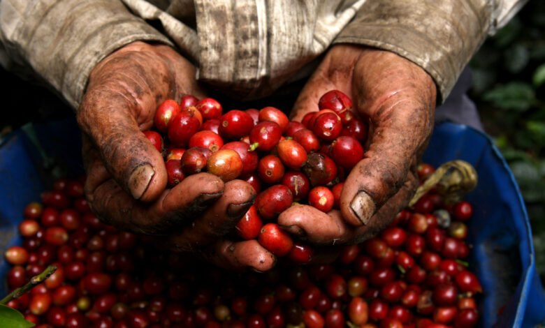 Café de Puerto Rico.