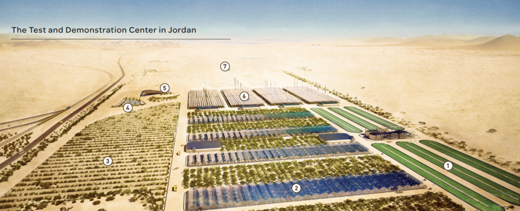 Proyecto Bosque del Sahara.