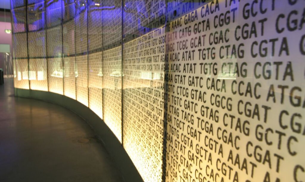 Secuenciación del Genoma.