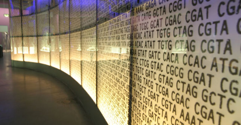 Secuenciación del Genoma.