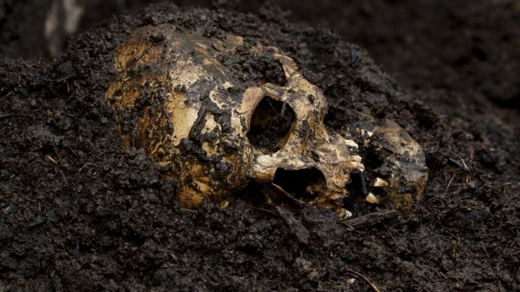 Fosa Común en Veracruz.