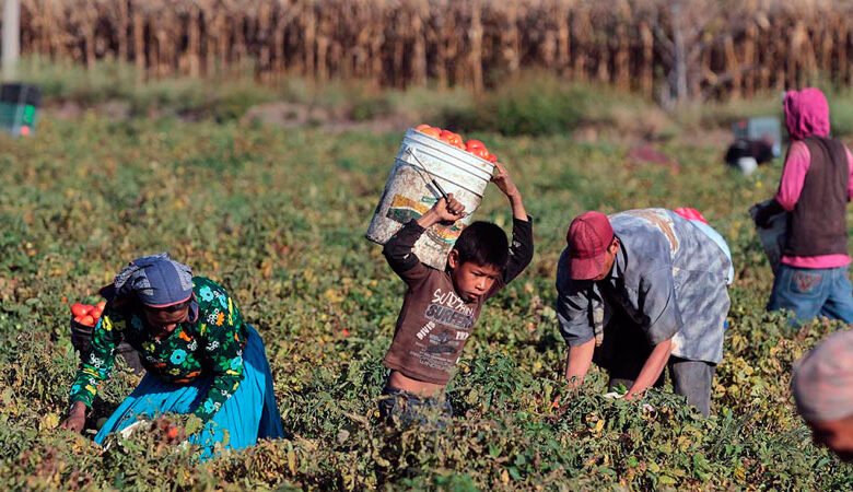 ODS por el Trabajo y la Industria.
