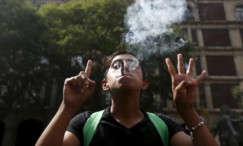 Marihuana Recreativa.