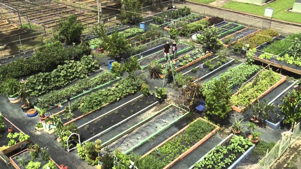 Contra la Crisis en Venezuela.