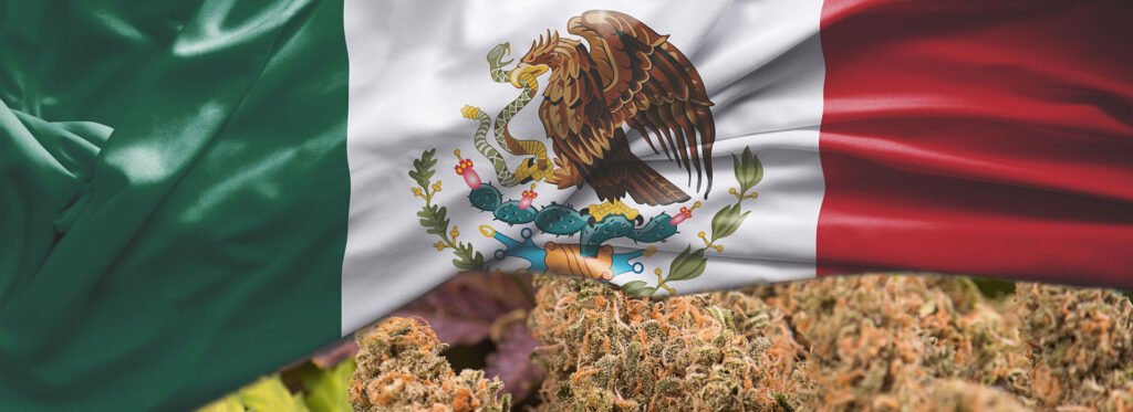 Marihuana en México.