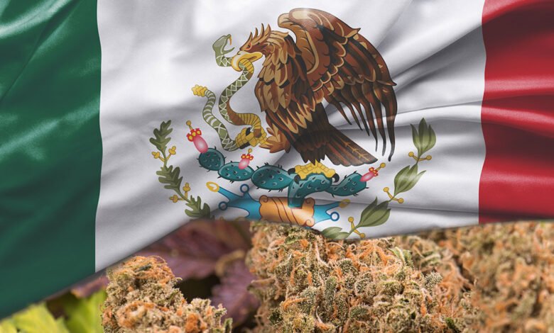 Marihuana en México.