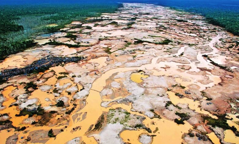 Amazonia.