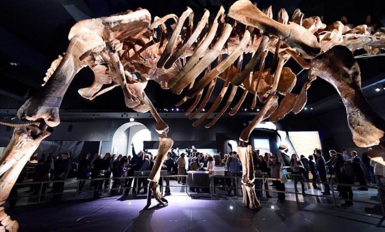 Bolsonaro en el Museo.