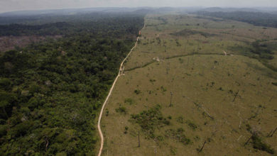 Deforestación de la Selva del Amazonas.