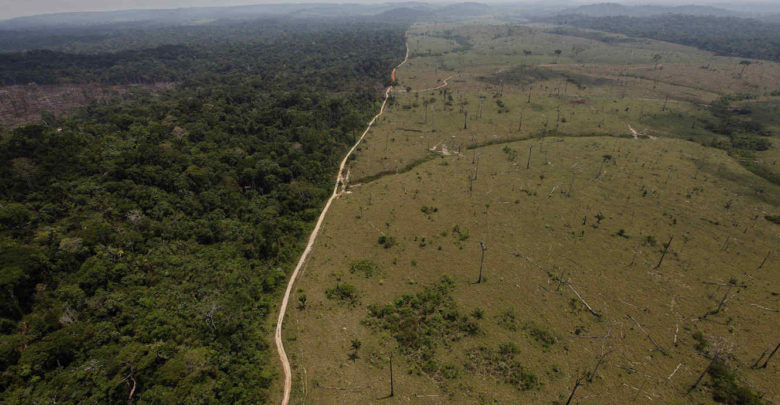 Deforestación de la Selva del Amazonas.