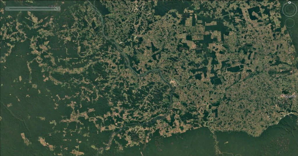 Deforestación amazónica.