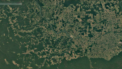 Deforestación amazónica.