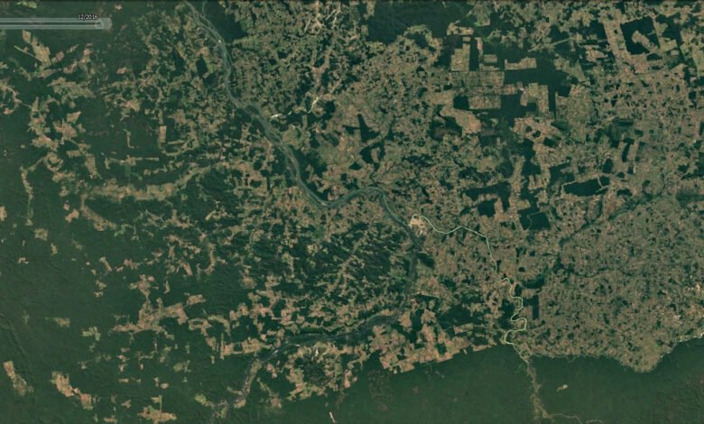 Deforestación amazónica.