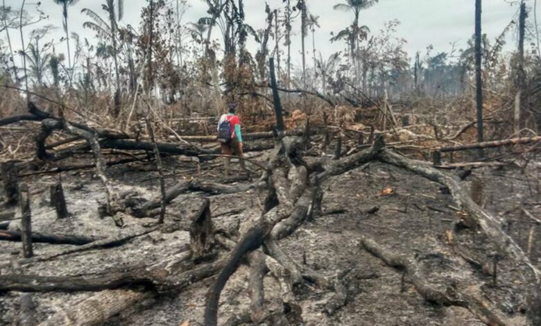 Desastre Ambiental.