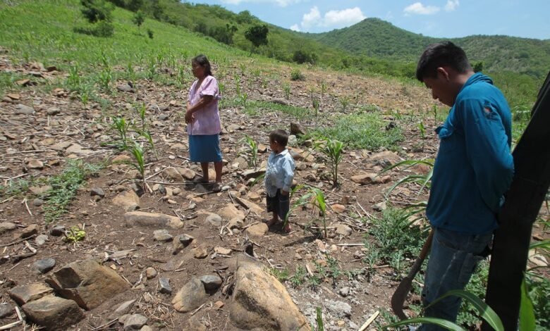 Infierno Guatemalteco.