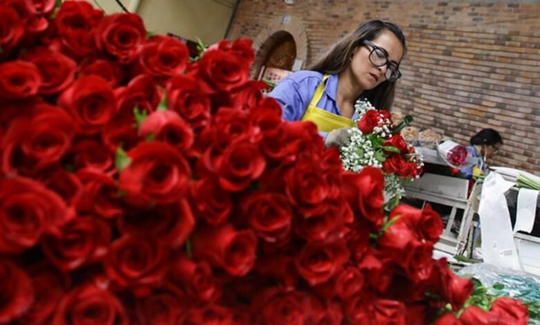 Rosas Colombia.