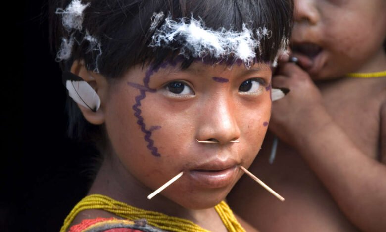 Yanomami Amazonas.
