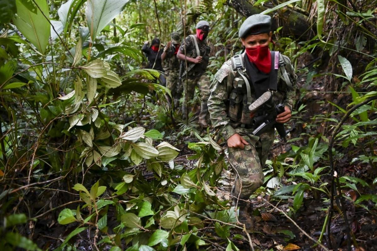 ELN libera a seis secuestrados.