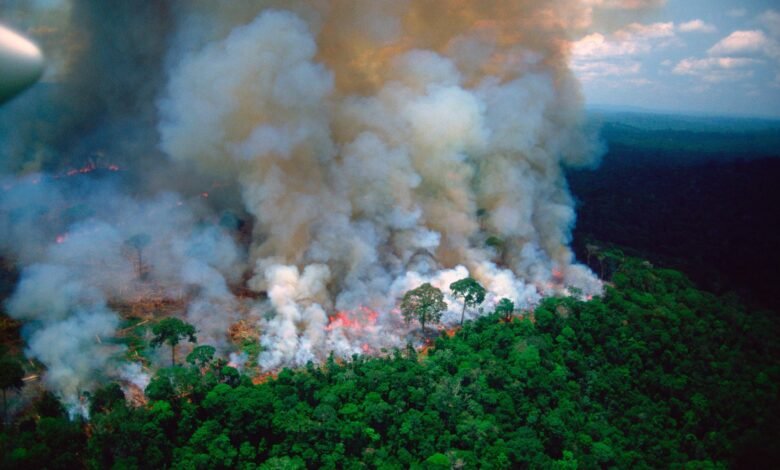 Más Incendios.