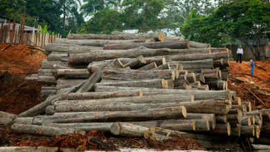 Deforestación del Amazonas.