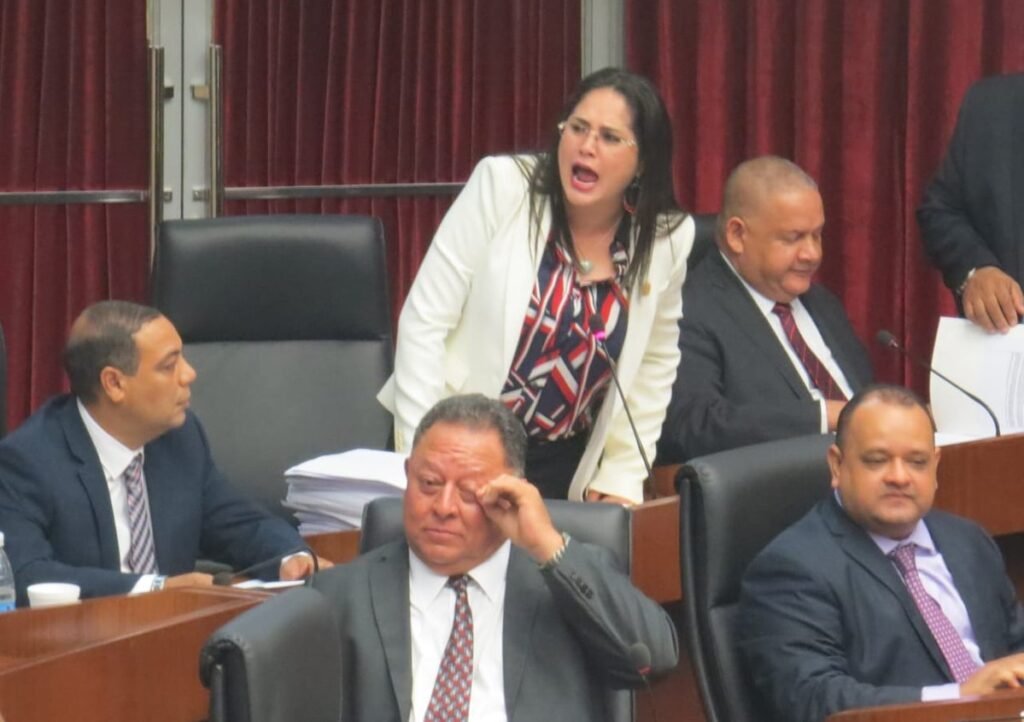 Zulay Rodríguez Lu.