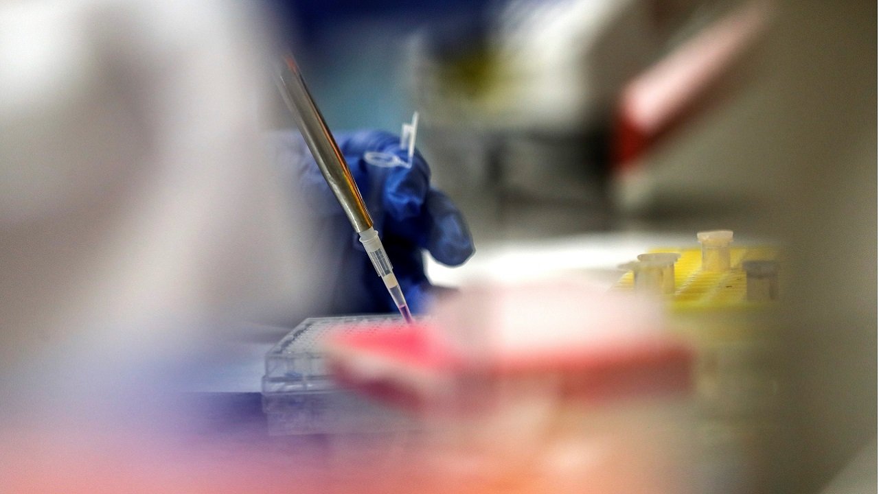 Variantes del Covid.