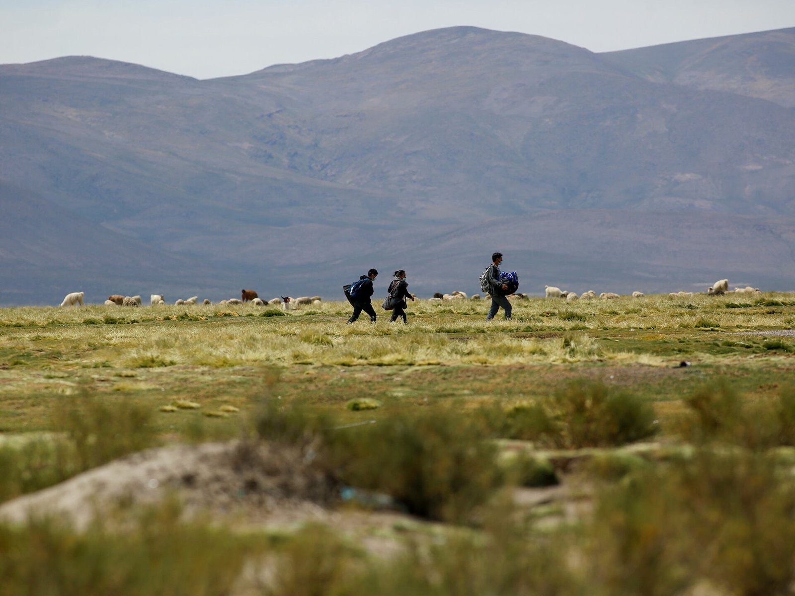 Crisis Migrante Chilena.