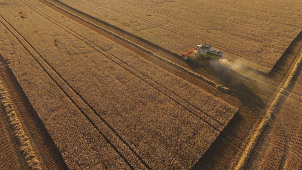 Temor por Aumento de Precios.