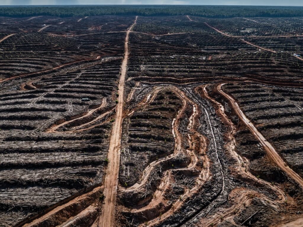 Naturaleza en Peligro.