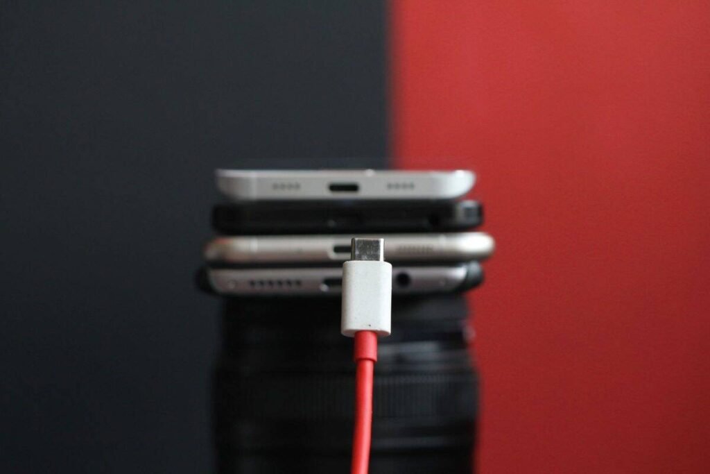 Cargador Único para Europa.