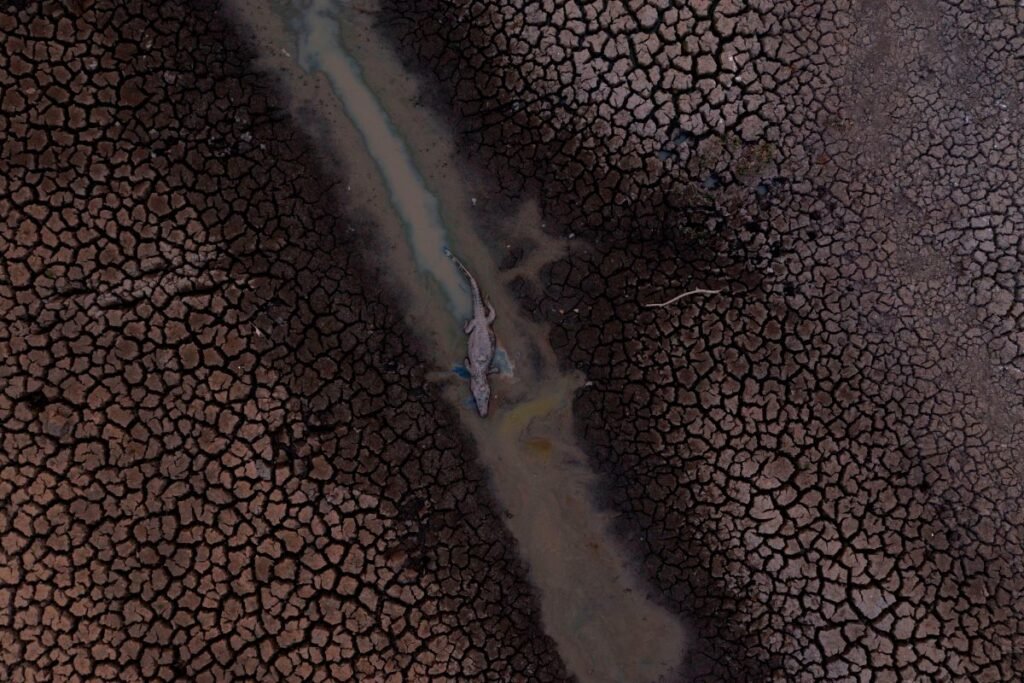 17 millones de víctimas.