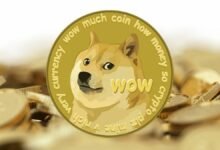 Explotan los Memecoins.
