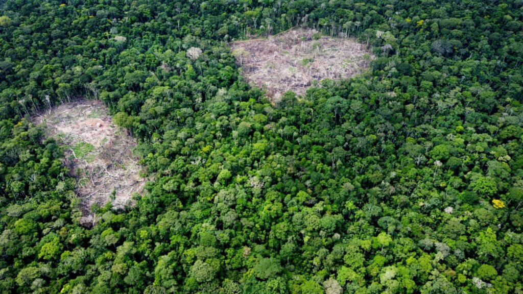 El punto de Inflexión.