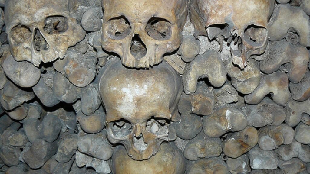 Origen de la Peste Negra.