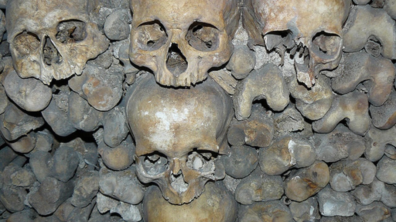 Origen de la Peste Negra.