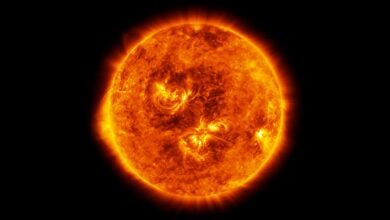 Una Gran Mancha Solar.