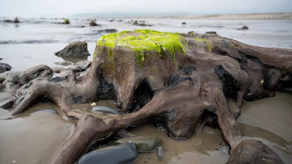La Atlántida galesa existió.