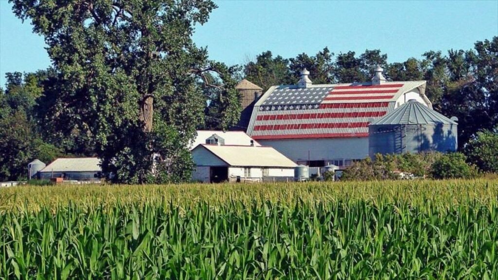 Granos al alza gracias a EEUU.
