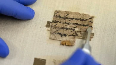 Papiro antigua es expuesto.