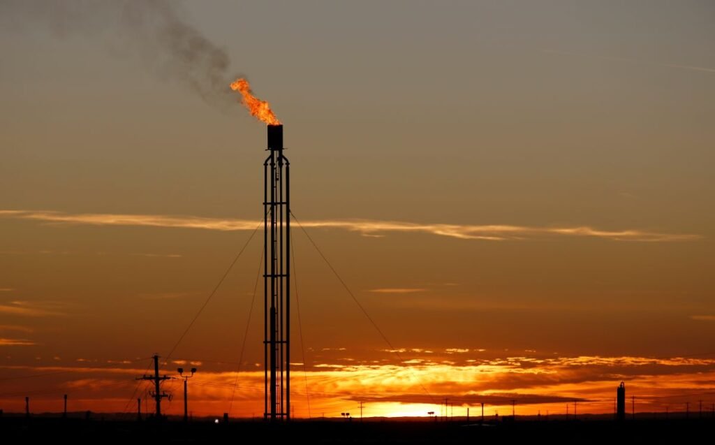 México quemó ilegalmente recursos.