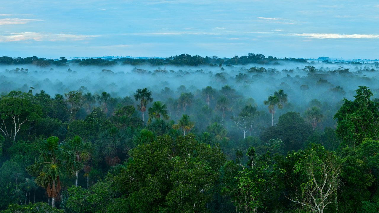 Menos selva, menos precipitaciones.