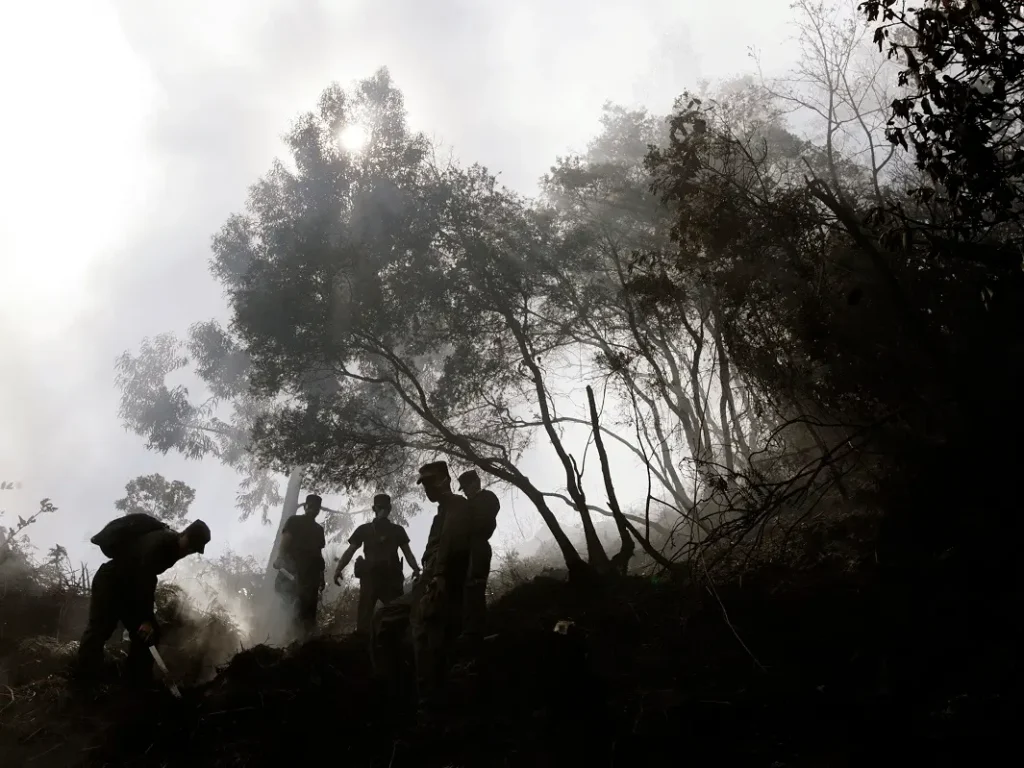 Milagro en el Guaviare.